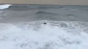 Морска мина се взриви на брега на Черно море в
