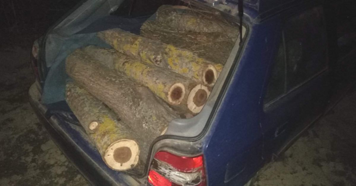 Крадци на дърва са задържани късно снощи след продължително преследване