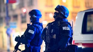 Полицията във Виена предупреди днес гражданите за увеличен брой патрули