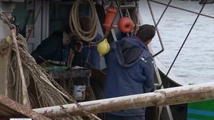 Капитанът на един от задържаните в Румъния кораби: Държаха ни за разпит цяла нощ, иззеха ни всичко