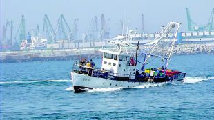 Задържаните български риболовни кораби остават в пристанище Констанца, моряците нямат