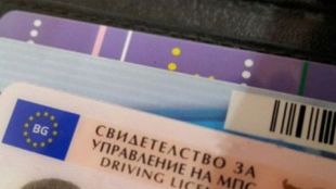 Измама в интернетНямало нужда от явяване на листовки и кормуванеИзмамници