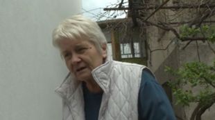 70 годишна жена от Пазарджик стреля по бездомни кучета но погрешка