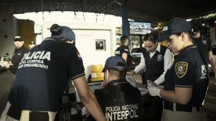 Властите в Латинска Америка арестуваха 14 260 души и иззеха