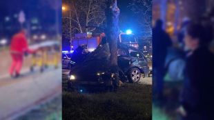 Кола се заби в дърво край оживен булевард в Русе
