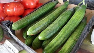 Вдигнаха цените на вносните доматиКраставиците поевтиняхаЗелената салата поскъпна с 14