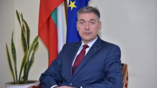 До момента няма информация за български граждани които да са