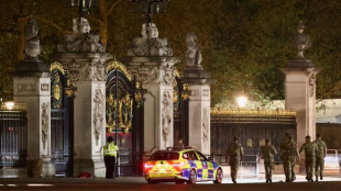 Във Великобритания арестуваха мъж пред Бъкингамския дворец Причината са хвърлени