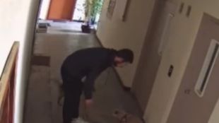 24 годишен мъж беше заснет как рита беззащитно малко куче