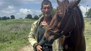 Гръм подплаши кобила по време на адска буря в Шуменско