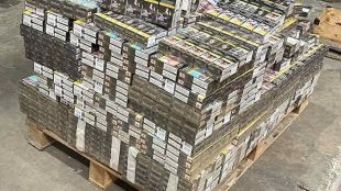 Голямо количество от 69 000 къса 3450 кутии контрабандни цигари