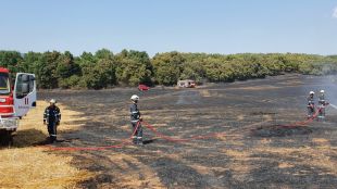 Българските пожарникари от модула за наземно гасене участват активно в