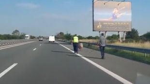 Полицейски патрул ескортира прасе на автомагистрала Тракия показа БТВ Николай Константинов