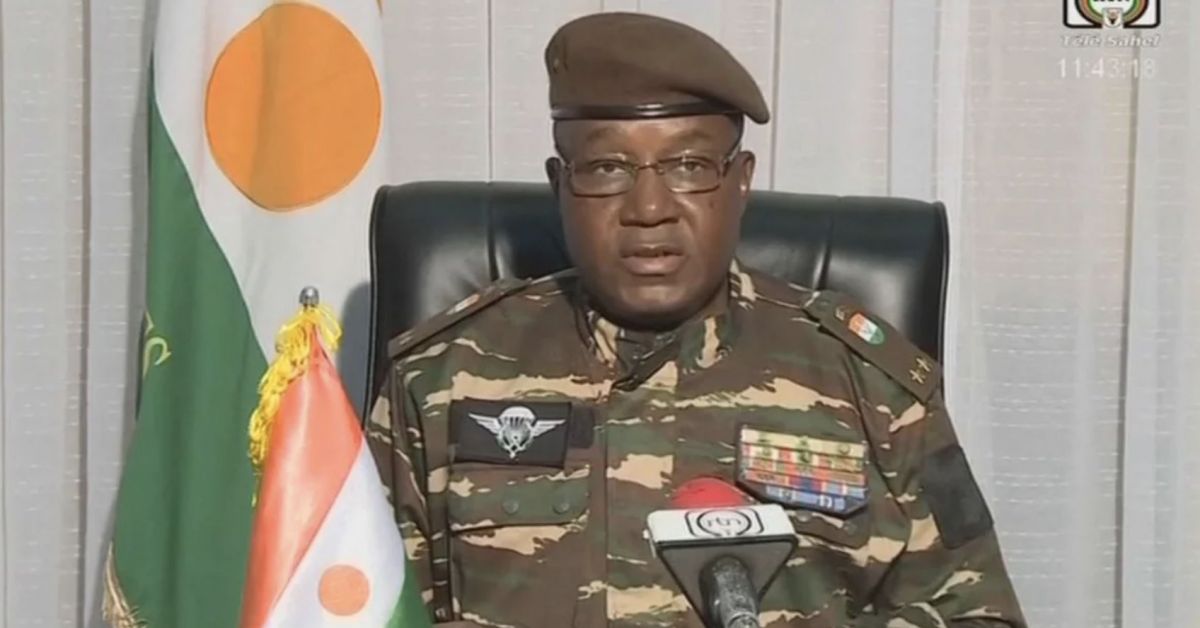 Генерал Абдурахман Чиани обяви по националната нигерска телевизия, че е