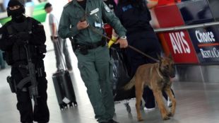 Специализирана полицейска операция се провежда на летище София съобщават от