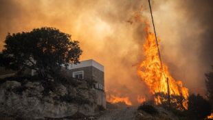 Горски пожар избухна сред ниска растителност на източното крайбрежие на