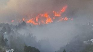 Горски пожар на испанския остров Ла Палма е наложил да