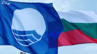 Румен Драганов Няма отказване от резервацииОт организацията Син флаг поръчаха