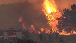 Община Свиленград ще обяви бедствено положение заради големия пожар в