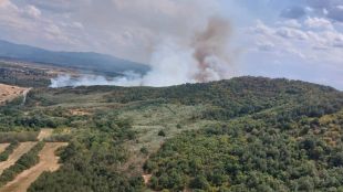 Пожар в борова гора в землището на село Михилци община
