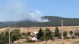 Пожар гори в близост в гориста местност между Казанлък и