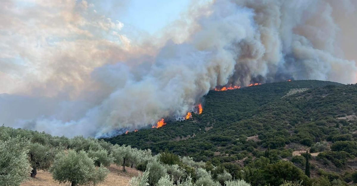 Няма информация за пострадали български граждани от пожарите в Гърция,