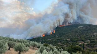 Пожарната обстановка в Гърция продължава да бъде усложнена като се