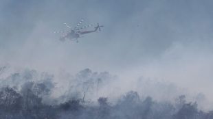 Нов пожар е избухнал близо до град Каристос на гръцкия