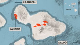 Опасни горски пожари се разпространяват бързо на остров Мауи съобщава