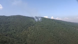 Пожар гори в гориста местност на връх Баба между Бачково