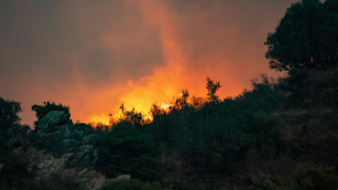 Голям горски пожар наложи евакуацията на близо 140 души в