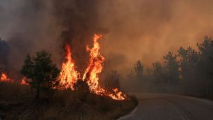 На 16 ия ден от горските пожари в Еврос първичният фронт