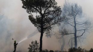 Горският пожар в Еврос в североизточна Гърция където усилията за