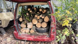 Каруца натоварена с крадени дърва задържаха през изминалата седмица служители