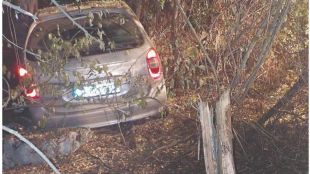 Удар в дърво на третокласен път в Плевенско852 ма водачи с