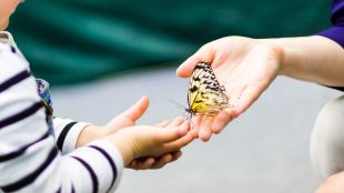 Децата с булозна епидермолиза наричат пеперудени заради уязвимата им кожа