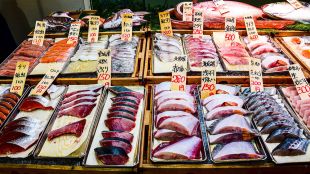 Русия въвежда ограничения върху вноса на риба и морски дарове