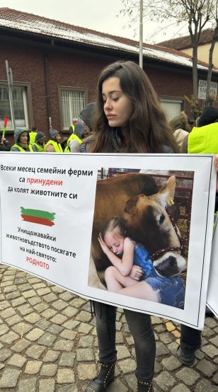Юристът Росица Новосад на протеста на животновъдите:  Заради неадекватна политика за 5 години производството на българско мляко е спаднало с 300 000 тона, а над 640 малки ферми са затворили