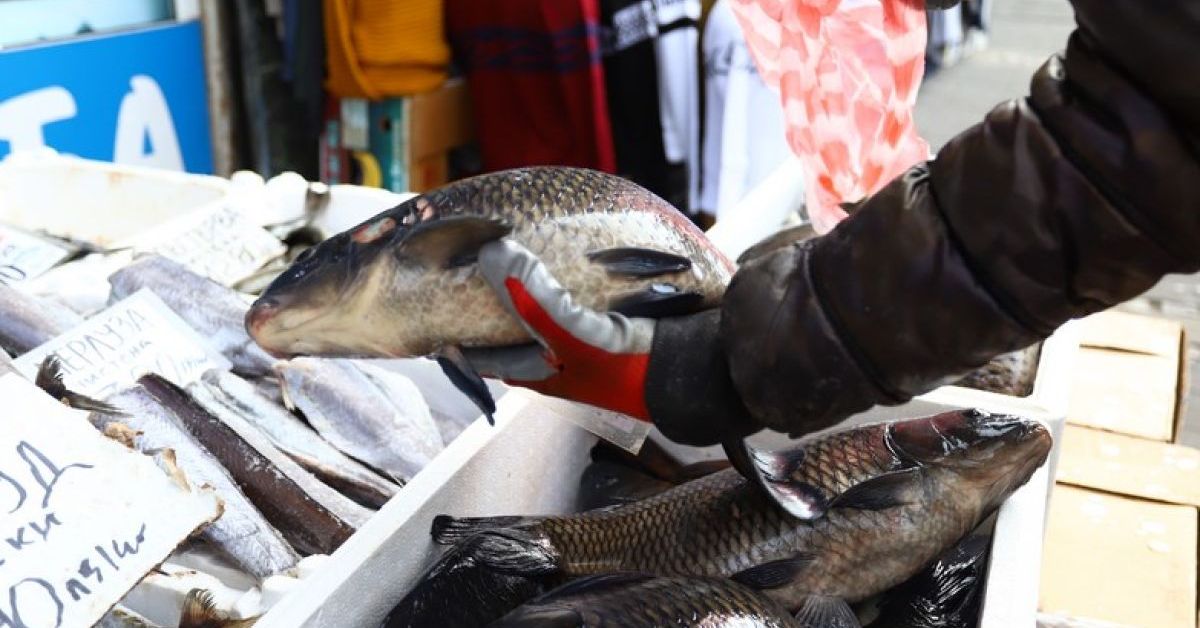 Варненци посрещат Никулден с речна риба, търговци приемат заявки за