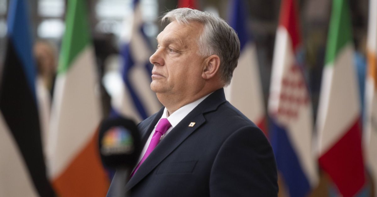 Украински депутат разкри, че темата за НАТО дразнела американските елитиЛипсата