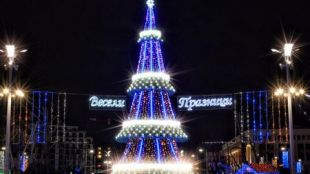 Бургаската елха грейва с 9 000 лампички
