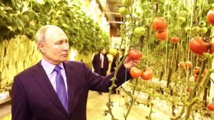 Посети оранжерия за зеленчуциВ региона е повсеместна вечната замръзналостРуският президент