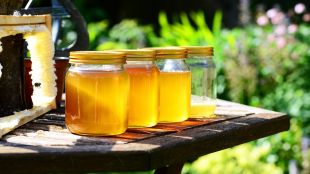 Консенсус за приемане на нови правила за етикетиране на меда