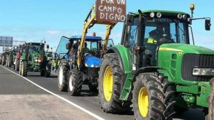 Трите основни профсъюза на испанските фермери заявиха че ще се