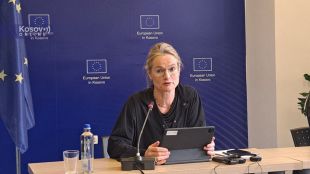 Членът на Европейския парламент и постоянен докладчик за Косово Виола