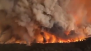 Три горски пожара в момента са активни в Гърция съобщава