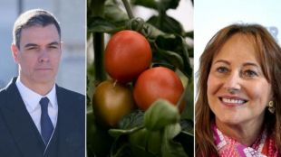 Париж обяви зеленчука на Мадрид за неядливИспанският премиер Педро Санчес