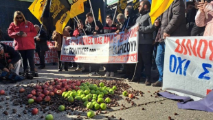 Фермерите от Тесалия изхвърлиха продукция си кестени и ябълки