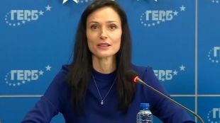 Заместник председателят на парламентарната група на ГЕРБ СДС Теменужка Петкова е внесла