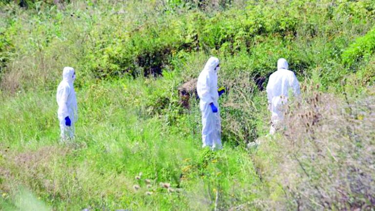 Кръв се лее в овощна градина в СливенскоПолицаи разкриват убиеца